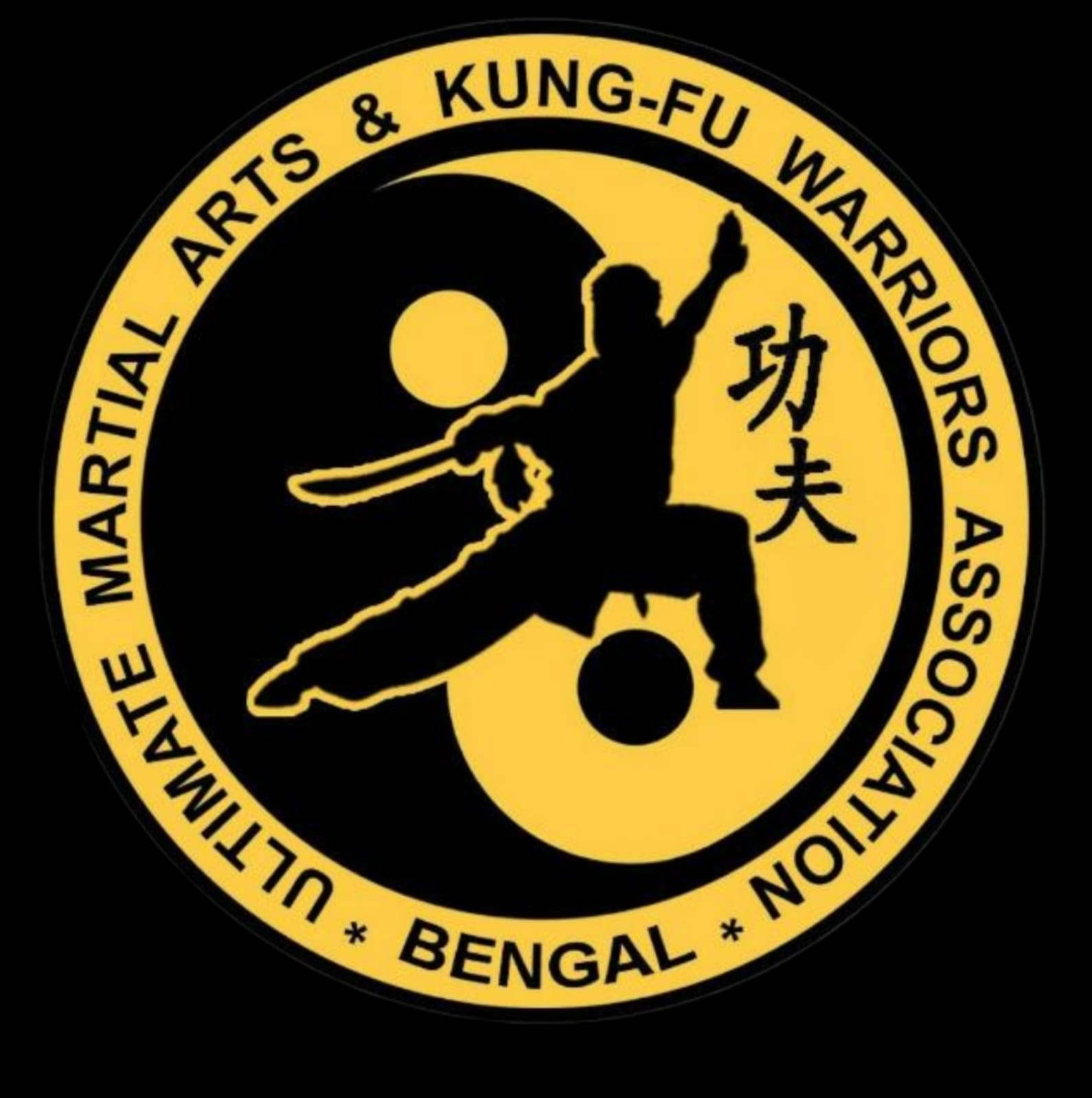 Ultimate Martial Arts Association