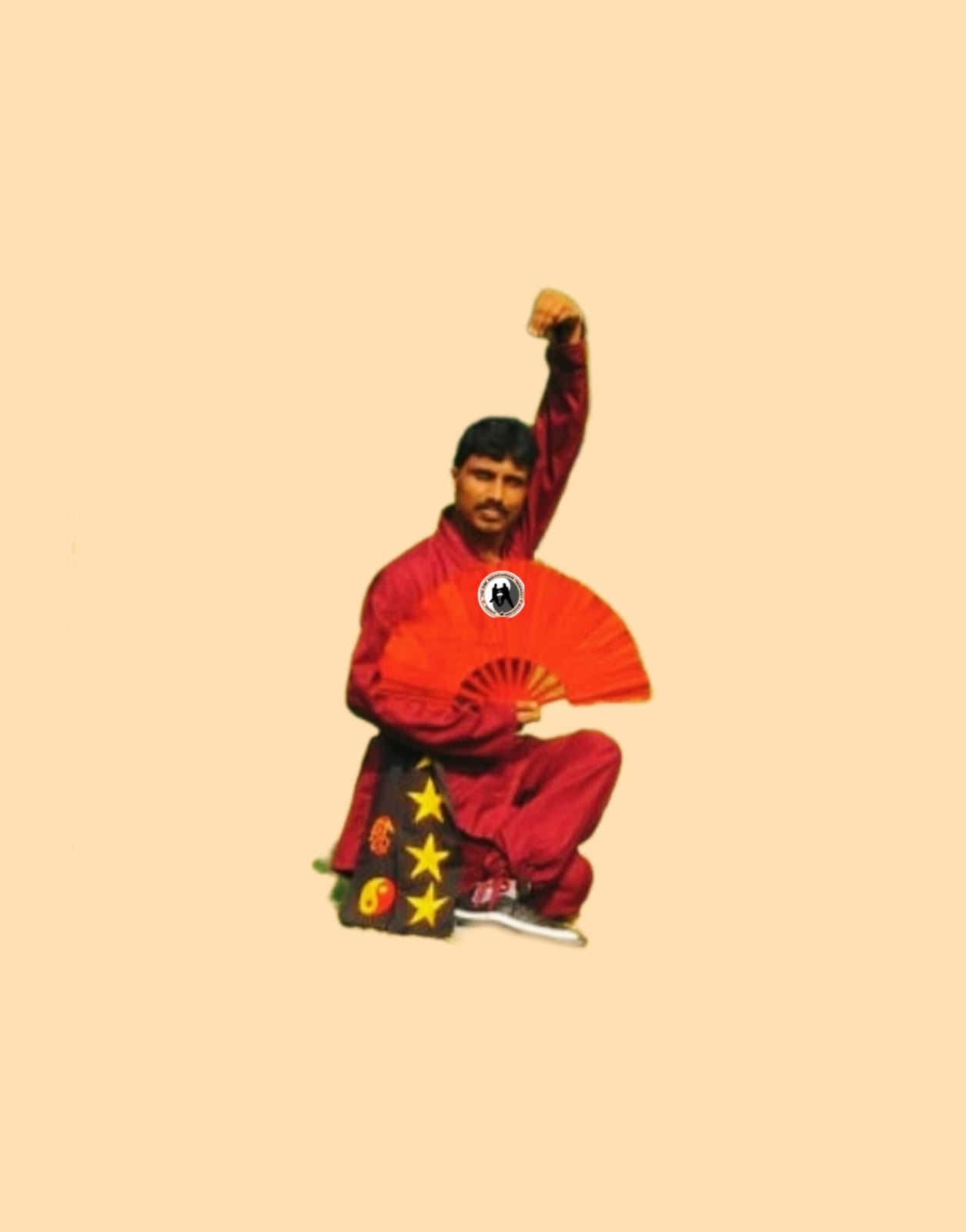 Tai Chi Fan